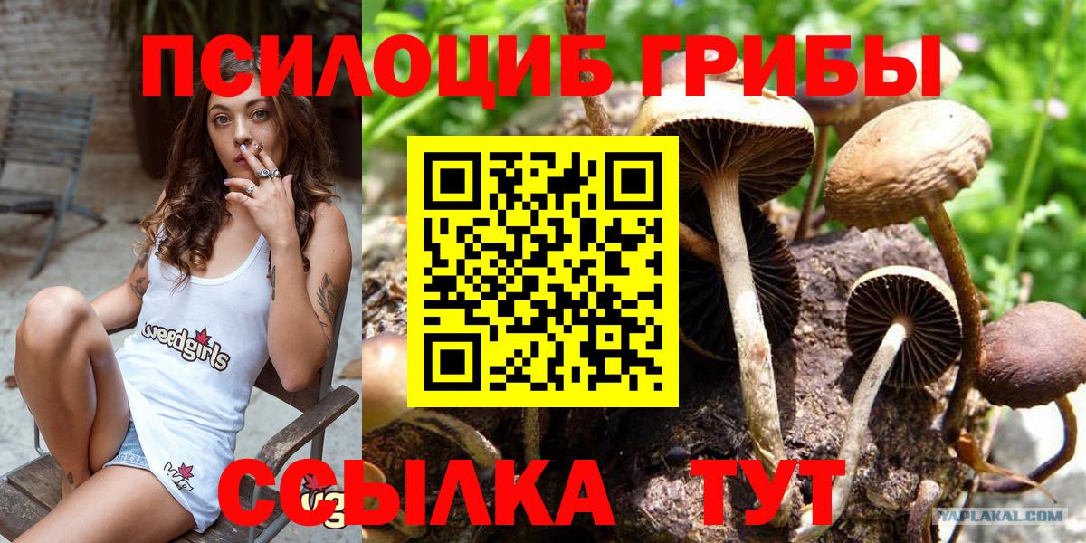 Галлюциногенные грибы GOLDEN TEACHER Новоуральск