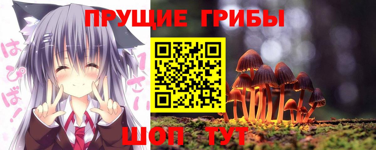 Галлюциногенные грибы GOLDEN TEACHER  Вход с VPN  Новоуральск 